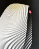 Puli (Best in Show) - Fine Art Print | Prints by Kirsten Ulve. Item composed of paper compatible with minimalism and contemporary style