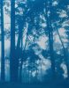 Morning Valley Light: 24x18" unframed hand-printed cyanotype | Photography by Christine So. Item made of cotton with paper works with boho & country & farmhouse style