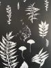 Set of 3 Huge Botanicals 24x36 inches | Prints by Erik Linton. Item made of paper
