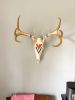 Hand-Painted Deer Skuls | Wall Sculpture in Wall Hangings by Cassandra Smith