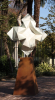 Star Unfolding | Public Sculptures by KevinBoxStudio | Progress Park in Paramount