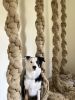 Textile sculpture | Macrame Wall Hanging in Wall Hangings by Mx.Atelier. Item made of cotton