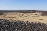 "DNA of the veld" | Public Sculptures by Janet Botes. Item composed of stone