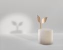 Giardino Botanico COLLECTION | Accent Chair in Chairs by SECOLO. Item made of wood with fabric