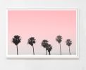 Pink Palms | Photography by Capricorn Press. Item composed of paper in minimalism or contemporary style