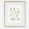 Culinary Herb Art Print - Botanical Watercolor Kitchen Art | Prints by Jennifer Lorton Art. Item composed of paper in country & farmhouse or industrial style