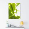 Sunkissed_3600  --  the life-giving energy of nature | Prints in Paintings by Petra Trimmel. Item made of canvas & paper