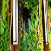 Custom Moss art | Mixed Media by Mona King | Six Hundredº in Winston-Salem