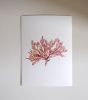 Pressed Seaweed, Single 86. A6. | Pressing in Art & Wall Decor by Jasmine Linington. Item composed of paper