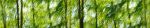 DreamLand_F1153_XL, forest panorama art | Photography by Rica Belna. Item composed of canvas & paper