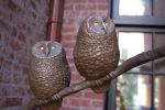 Owl Family | Public Sculptures by Jim Sardonis. Item composed of bronze