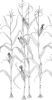 Corn Rows | Wallpaper by Merenda Wallpaper | Spaceboy Clothing in Wilmington