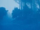 Caminante No hay Camino: original cyanotype FRAMED to 35x27" | Photography by Christine So | Baukunst in San Francisco. Item composed of paper in boho or rustic style
