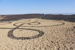 "DNA of the veld" | Public Sculptures by Janet Botes. Item composed of stone