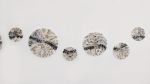 Oak of Winter | Mixed Media in Paintings by Vero Gonzalez Ugarte