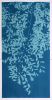 Chinese Elm IV (40 x 20 in. original cyanotype on Paper) | Photography by Christine So. Item made of paper works with boho & japandi style