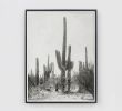 Vintage Tucson Saguaro Cactus | Photography by Capricorn Press. Item made of paper works with boho & southwestern style