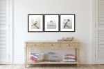 Robin | Drawings by Maurice Dionne FINEART. Item made of paper