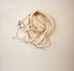 Danelelion | Mixed Media by Trudy Perry. Item in minimalism or contemporary style
