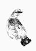 Ptarmigan | Prints by Chrysa Koukoura. Item composed of paper in traditional style