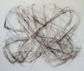 Sugar | Drawings by Sally K. Smith Artist. Item composed of paper