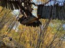 Nesting Eagles | Public Sculptures by Wendy Klemperer Art Inc | VINS Nature Center in Hartford. Item made of steel