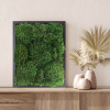 100% Live Moss Wall Art in Black | Decorative Objects by Moss Pure. Item made of wood compatible with contemporary and industrial style