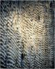 DUNES (fog) | Area Rug in Rugs by Emma Gardner Design, LLC. Item made of wool
