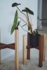 Plant Stand Indoor | Plants & Landscape by ROOM-3. Item composed of maple wood