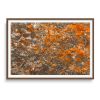 CITRINE (18"x12" — 60"x40") | Wall Art | Fine Art Print | Digital Art in Art & Wall Decor by Jess Ansik. Item made of metal with paper works with transitional style