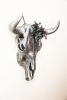 Antiqued Cow Skull | Ornament in Decorative Objects by Gypsy Mountain Skulls. Item works with contemporary & country & farmhouse style