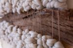 Storm | Macrame Wall Hanging in Wall Hangings by Keyaiira | leather + fiber. Item composed of wood & fabric