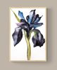 Iris No. 209 : Original Watercolor Painting on Canvas | Paintings by Elizabeth Becker. Item made of canvas compatible with minimalism and contemporary style