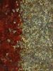 Gingko paintings/woodcuts | Mixed Media by Rosemary Feit Covey