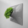 Modern Living Wall - Node Wall Planter | Plants & Landscape by Pandemic Design Studio. Item composed of ceramic in mid century modern or contemporary style