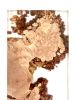 Big Leaf Maple Resin River Art | Live Edge | Epoxy Art | | Wall Sculpture in Wall Hangings by SAW Live Edge. Item made of wood