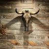 Lace Skull | Ornament in Decorative Objects by Gypsy Mountain Skulls | Old Town Cellars in Park City. Item made of wood works with contemporary & country & farmhouse style
