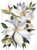 Magnolia No. 70 : Original Watercolor Painting on Canvas | Paintings by Elizabeth Becker. Item made of canvas works with minimalism & contemporary style