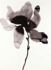 Magnolia No. 46 : Original Ink Painting | Drawings by Elizabeth Becker. Item made of paper compatible with minimalism and contemporary style