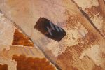 Shadow of the Desert | Oil And Acrylic Painting in Paintings by PUGMATIK. Item made of canvas works with contemporary & country & farmhouse style