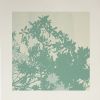 OutGrow #2 | Prints by Phillip Hua. Item composed of paper