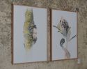 Banksia & The Child | Mixed Media by Kareena Zerefos. Item composed of paper