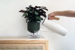 Kapi planter | Vases & Vessels by Studio Kasia Zareba. Item made of ceramic