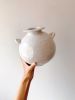 Pomelo Vase | Vases & Vessels by Mary Lee. Item made of ceramic