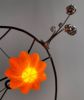 Paddle Cactus 3 Table Lamp | Lamps by Claudine Gevry Studio | Umbra & Lux in Vancouver. Item made of copper