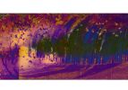 Wonder | Prints by Khosh Design. Item composed of canvas