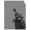 PERCH | B&W | Southwest Photography | Minimalist Print | Photography by Jess Ansik. Item made of paper works with minimalism & eclectic & maximalism style