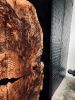 Claro Walnut Burl Epoxy Casted Barn Doors | Furniture by Live Edge Lust. Item composed of wood