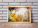 Winter is finally here | Limited Edition Print | Photography by Tal Paz-Fridman | Limited Edition Photography. Item composed of paper compatible with contemporary and country & farmhouse style