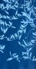 Blue Olive: 30 x 16 in. original cyanotype | Prints in Paintings by Christine So. Item composed of paper in boho or japandi style